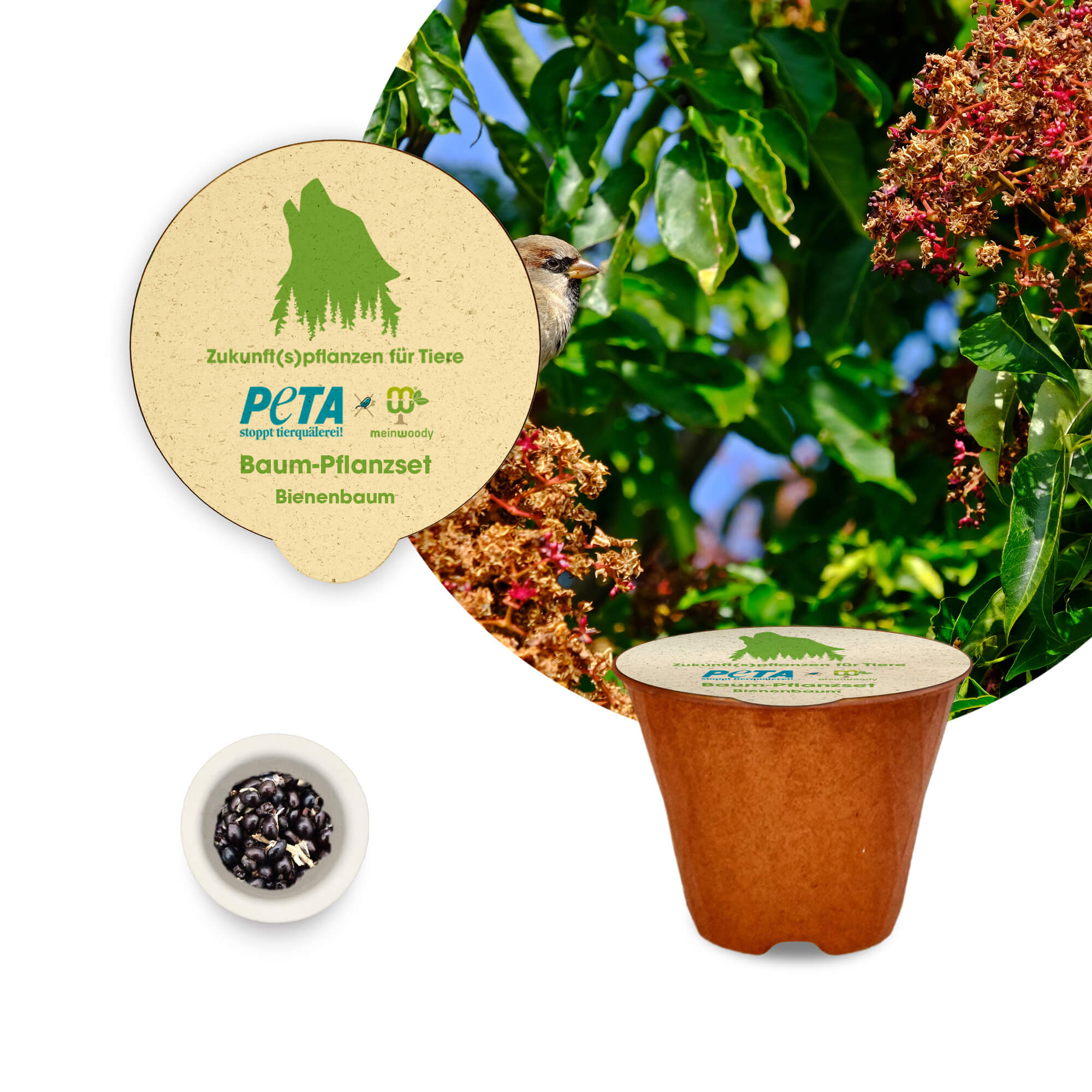 PETA Baum-Pflanz-Kit