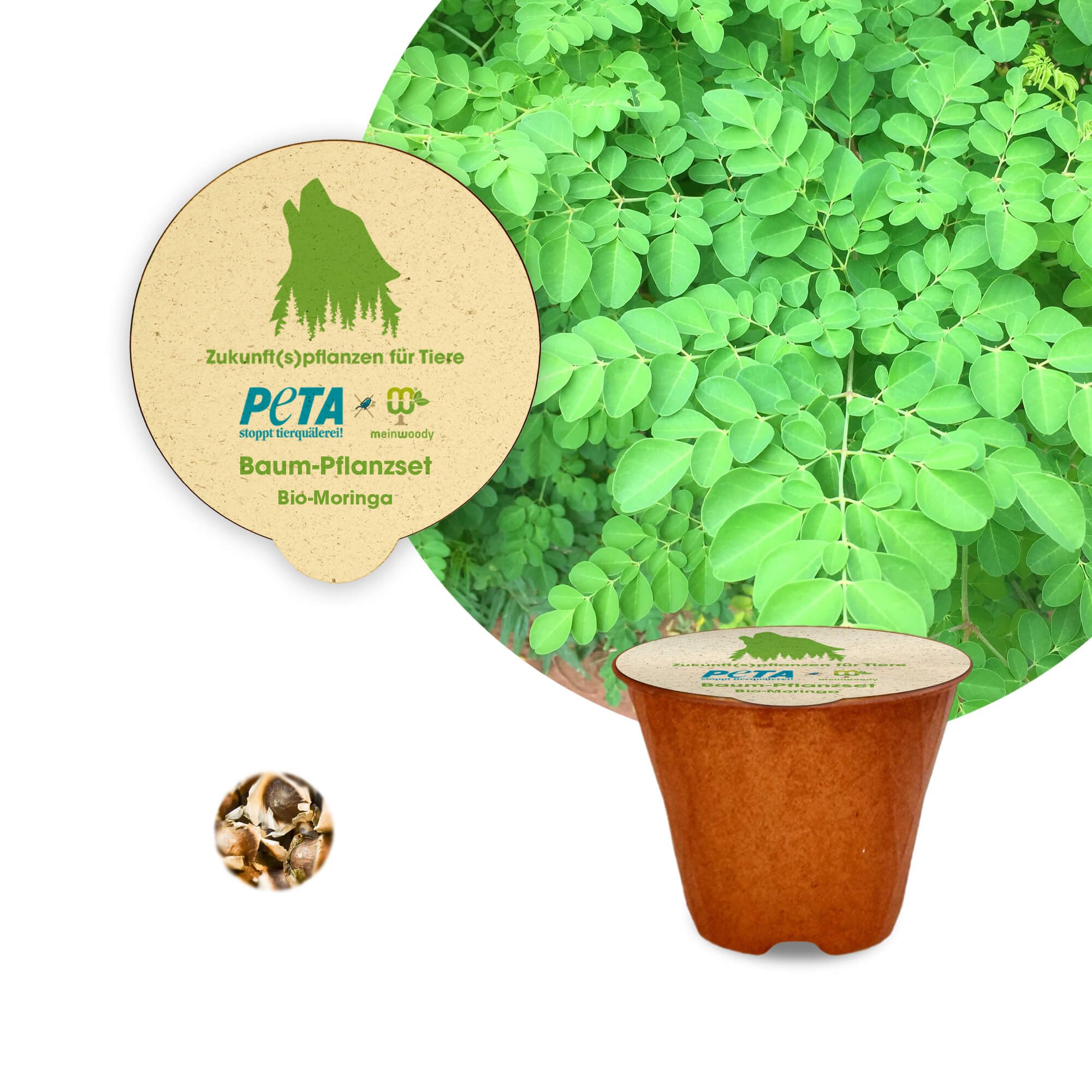 PETA Baum-Pflanz-Kit