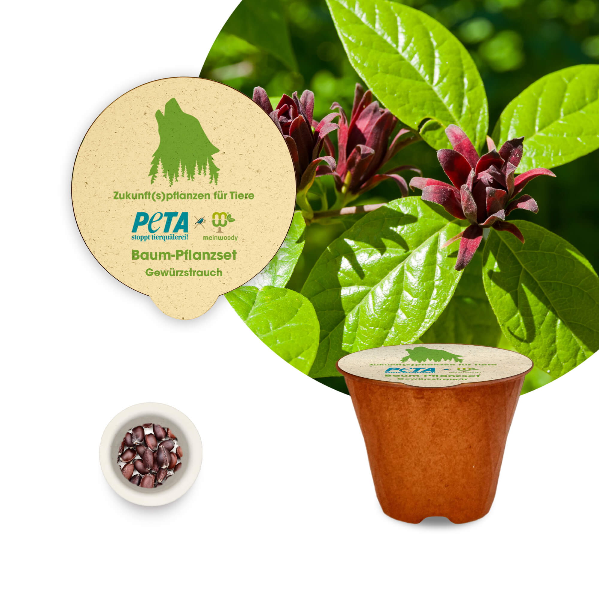 PETA Baum-Pflanz-Kit