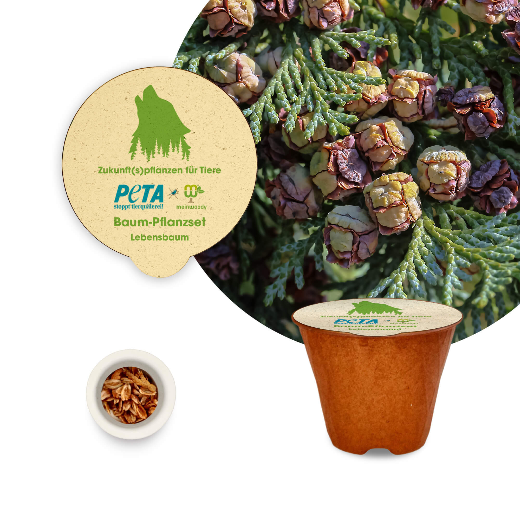 PETA Baum-Pflanz-Kit