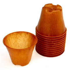 Plastikfreier Pflanztopf Plenta – 6 cm – 12er Set