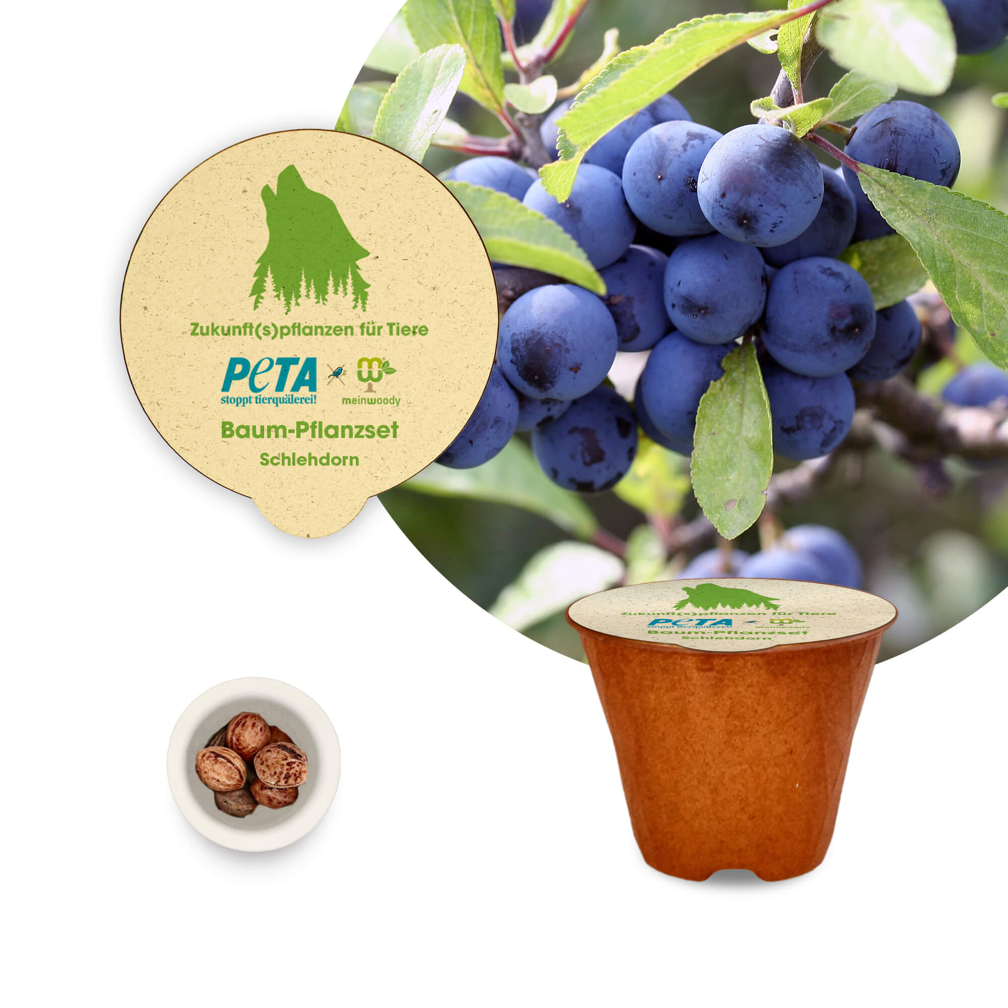 PETA Baum-Pflanz-Kit