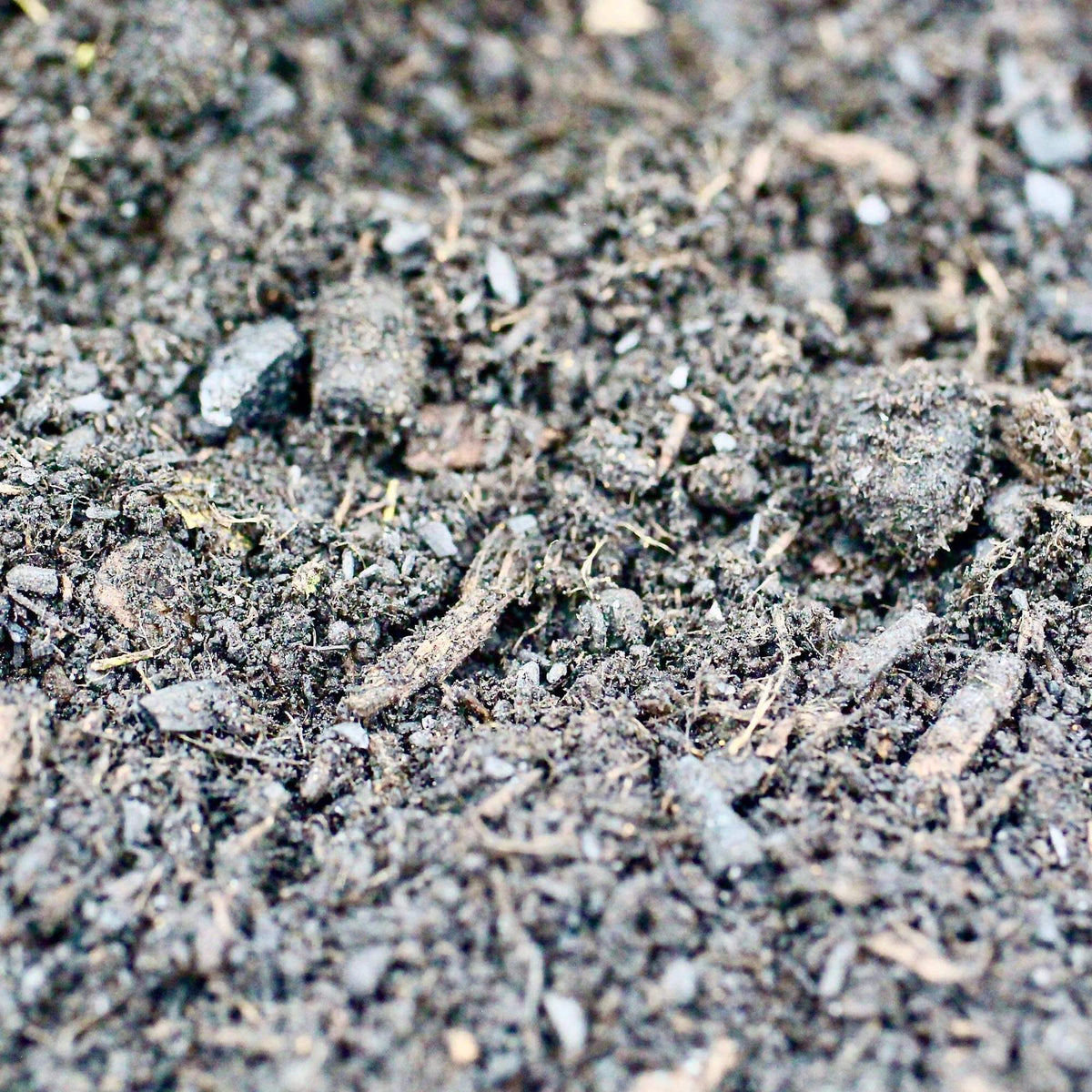 Terra Preta Pflanzenkonzentrat - Pflanzenerde